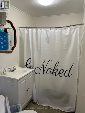 Kingston (Central City East) apartment for rent - A bathroom with a shower curtain that says "Le Naked".