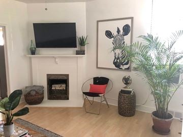 Salt Lake City apartment for rent - A living room with a fireplace, a chair, a plant, and a painting of a zebra.