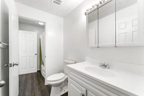 Decatur apartment for rent - a white bathroom with a toilet and a sink