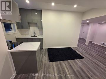 East Gwillimbury (Queensville) apartment for rent - A kitchen area with a sink and a counter.