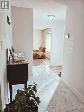 Mississauga (Malton) apartment for rent - A hallway with a table and a plant in the foreground.