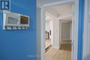 Toronto (East York) apartment for rent - A white microwave oven is mounted on a blue wall.