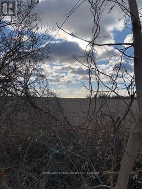 Clarington mobile home for rent - A barren landscape with a cloudy sky and leafless trees.