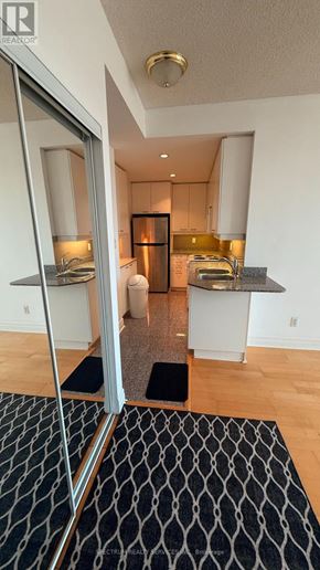 Toronto (Mimico) condo for rent - A black and white patterned rug sits on a wooden floor in front of a glass door.