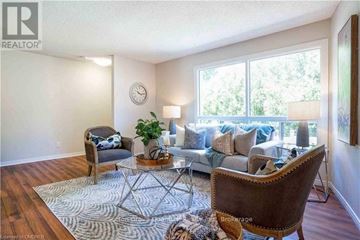 London South (South R) townhouse for rent - A living room with a brown chair and a glass table with a plant on it.