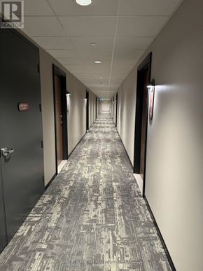 Kitchener condo for rent - A long hallway with a carpeted floor and doors on both sides.