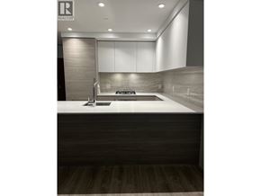 New Westminster apartment for rent - A modern kitchen with a sink and a counter.