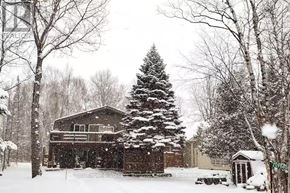 Blue Mountains apartment for rent - A house with a snow-covered tree in front of it.