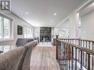 Erin apartment for rent - A well-lit, spacious living room with a leather sofa and a fireplace.