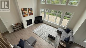 Lake Of Bays (Franklin) apartment for rent - A living room with a grey couch and a rug.