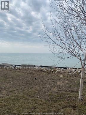 Amherstburg apartment for rent - A tree stands in front of a body of water.