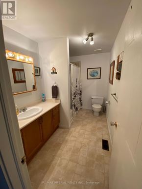Kawartha Lakes (Bobcaygeon) apartment for rent - A bathroom with a sink, toilet and shower.