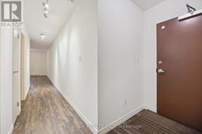 Port Hope apartment for rent - A hallway with a brown door and white walls.