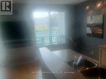 Brampton (Sandringham-Wellington) condo for rent - A sunny kitchen with a sink and a window.