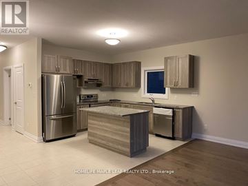 Kitchener apartment for rent - A kitchen with a refrigerator, oven, and cabinets.
