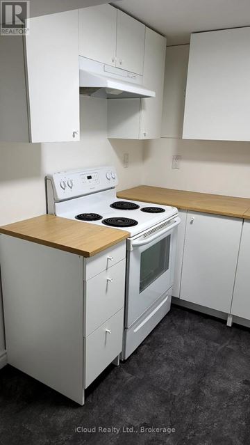 Hamilton (Stoney Creek Mountain) apartment for rent - A kitchen with white cabinets and a wooden countertop.