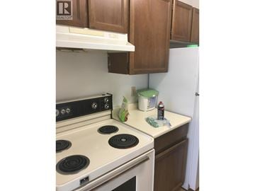 Burnaby apartment for rent - A white stove top oven with four burners and a white refrigerator in a kitchen.