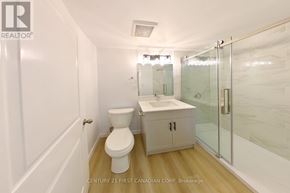 London North (North I) apartment for rent - A white toilet sits next to a sink in a small bathroom.