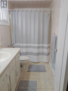 Hamilton (Berrisfield) apartment for rent - A bathroom with a toilet, sink, and shower curtain.