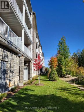 Southgate condo for rent - A tree with red leaves stands in front of a building.