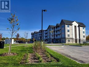 Southgate condo for rent - A tree stands in a grassy area in front of apartment buildings.