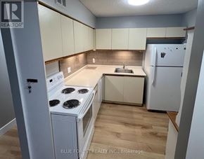 London North (North G) condo for rent - A small kitchen with a stove, sink, and refrigerator.