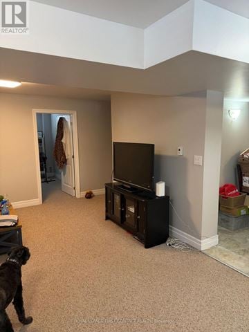 Innisfil apartment for rent - A dog is standing in a living room with a television and a dog bed.