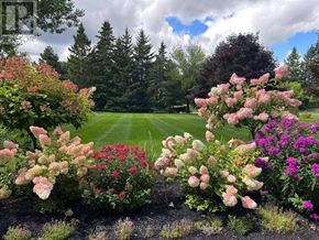 Aurora (Bayview Southeast) apartment for rent - A garden with a variety of flowers in the foreground and a lawn in the background.