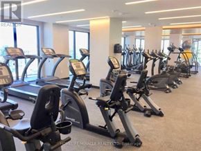 Toronto (Mimico) condo for rent - A gym with treadmills and elliptical machines.
