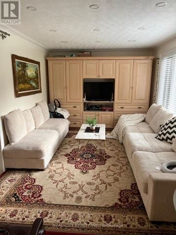 Mississauga (Sheridan) apartment for rent - A living room with a rug and two couches.