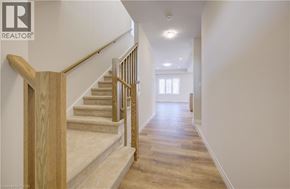 Cambridge apartment for rent - A wooden staircase with a beige carpeted runner leads up to a bright room with a window.