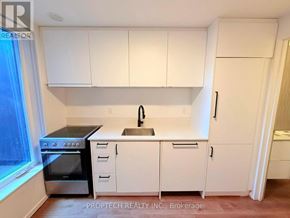 Toronto (North Riverdale) multi-family for rent - A kitchen with white cabinets and appliances.