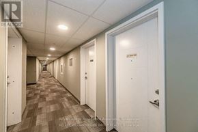 Waterloo condo for rent - A long hallway with doors on both sides and a carpeted floor.