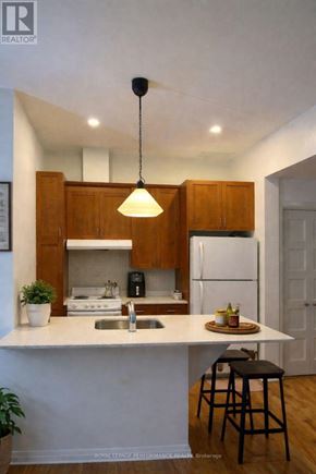 Casselman apartment for rent - A kitchen with a white countertop and wooden cabinets.