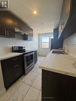 London South (South F) condo for rent - A kitchen with dark wood cabinets and white countertops.