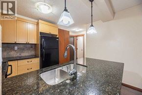 Calgary apartment for rent - A kitchen with granite countertops and a sink.