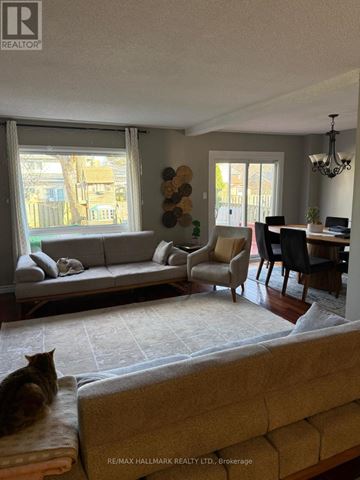 Mississauga (Meadowvale) apartment for rent - A cat is sitting on a couch in a living room.