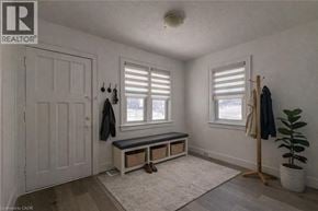 Kitchener apartment for rent - A room with a bench, coat rack, and a potted plant.
