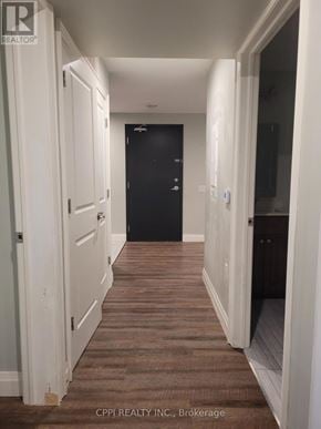 Port Colborne (Main Street) multi-family for rent - A hallway with white doors and a black door at the end.