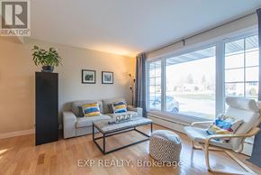 Ottawa duplex for rent - A living room with a couch, chair, and a potted plant.