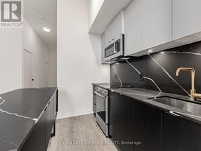 Toronto (South Parkdale) condo for rent - A modern kitchen with black marble countertops and stainless steel appliances.