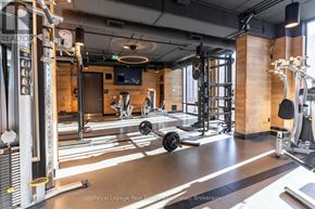 Waterloo condo for rent - A gym with a variety of equipment including a squat rack, a bench press, and a leg press machine.