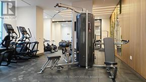 Burlington (Lasalle) condo for rent - A gym with a row of treadmills and a squat rack.
