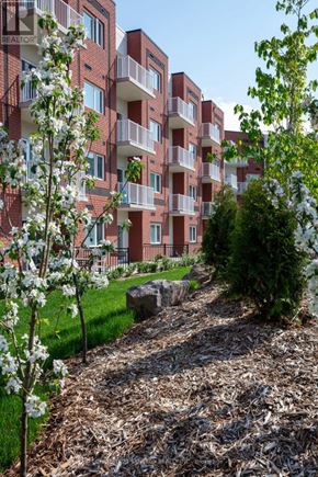Smiths Falls condo for rent - A red brick apartment building with a tree in front of it.