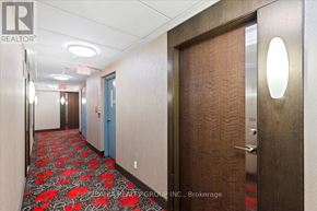 Toronto (Etobicoke West Mall) condo for rent - A hallway with a carpet of red flowers and doors on either side.