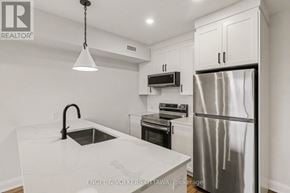 Ottawa apartment for rent - A modern kitchen with a stainless steel refrigerator and a marble countertop.