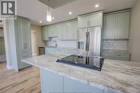 Windsor condo for rent - A kitchen with a marble countertop and stainless steel appliances.