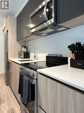 Toronto (Downsview-Roding-Cfb) condo for rent - A modern kitchen with stainless steel appliances and wooden cabinets.