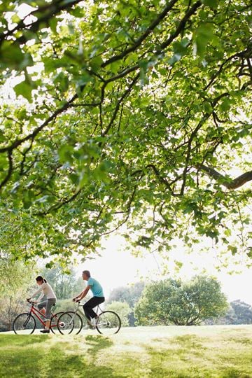 Lewis Center apartment for rent - Two people riding bikes under a tree.