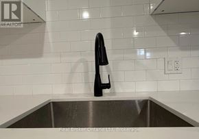 Barrie (Georgian Drive) apartment for rent - A black bottle is on a stainless steel sink.